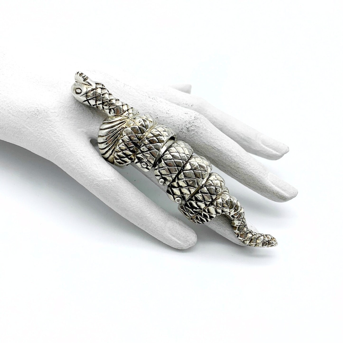 Ring Scharnier Slang